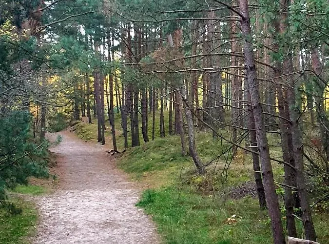 Lazur Park - *