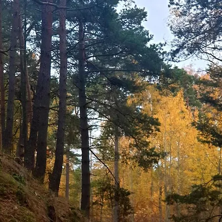 Lazur Park - Апартаменты *