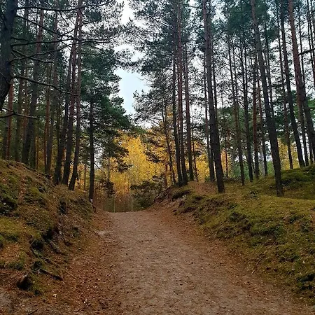 Lazur Park - * Gdańsk