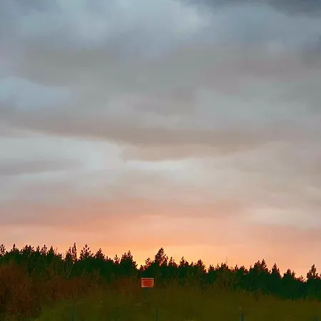 Apartment Lazur Park - *