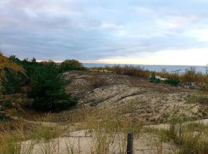 Apartment Lazur Park - Danzig