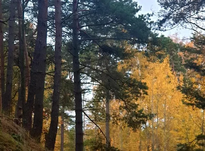 Lazur Park - Apartment *