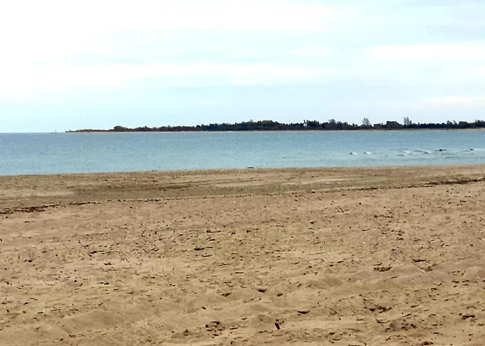 Apartment Lazur Park - *