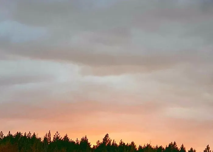 Apartment Lazur Park - *