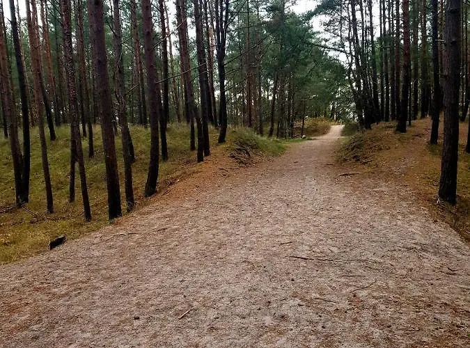 Lazur Park - Apartment Danzig