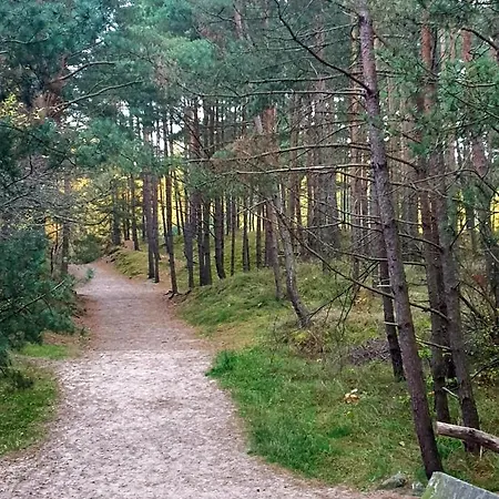 Lazur Park - *